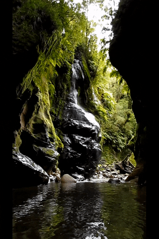 stevelordpottyreekie new zealand west coast canyon gorge GIF