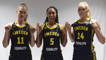Proud Equality GIF by Sweden Basketball