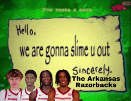 Arkansas Razorbacks GIF