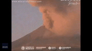 Mexico Ash GIF by Storyful