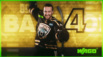 Ice Hockey GIF