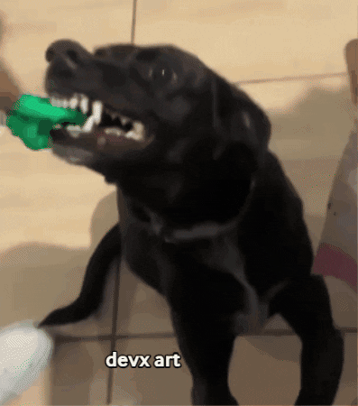 Dog Holding GIF by DevX Art