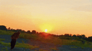 Landscape Videography GIF by Redhazestudios