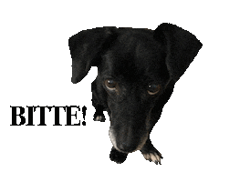 Leca Please Sticker by helpinganimalsromania