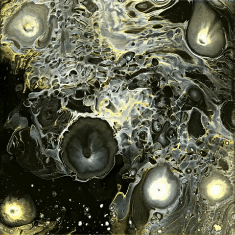 Mladek GIF