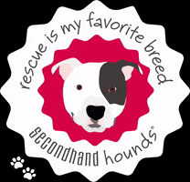 Pitbull Adopt GIF by Secondhand Hounds