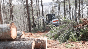 Yard Work Heavy Equipment GIF by JC Property Professionals