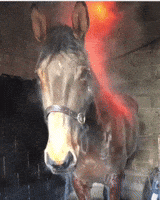 200.gif?cid=fc005b08309f2463f25a4db8dc2cf23458bf592ba2524c2d&rid=200.gif&ct=g
