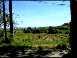 raymondbatsford  GIF