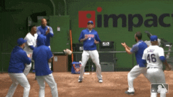 Chicago Cubs GIF by MLB