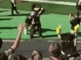 Colorado Buff GIF