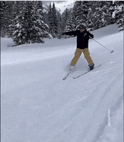 Fail Snow Day GIF by Pit Viper