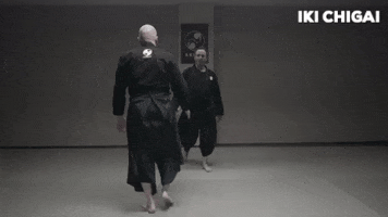 martial arts ninjutsu GIF by AKBAN Academy