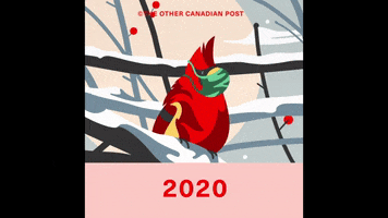 Freezing New Year GIF by The Other Canadian Post