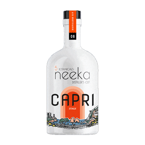 Cheers Gin Sticker by neekagin