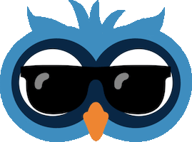 Sunglasses Sticker by Reiseuhu