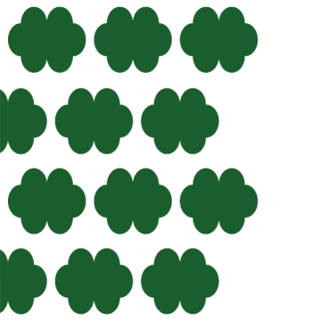 Slow Turtle Shop Sticker