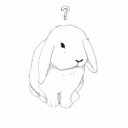 Bunny GIF