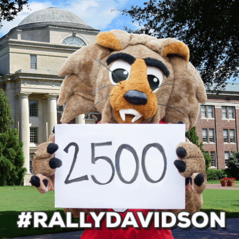 #rallydavidson GIF by Davidson College