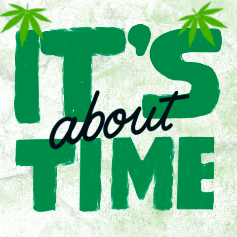 Digital art gif. Oversized bold green words punctuated by black script font on a white marbled background, marijuana leaves raining all around. Text, "It's about time."