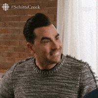 schitts creek no GIF by CBC