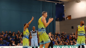 GIF by Sheffield Sharks