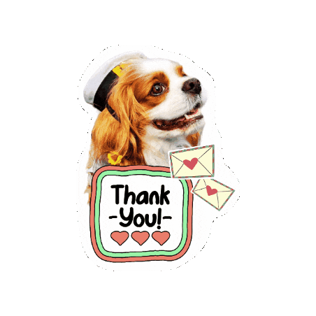 Birthday Cavalierkingcharlesspaniel Sticker