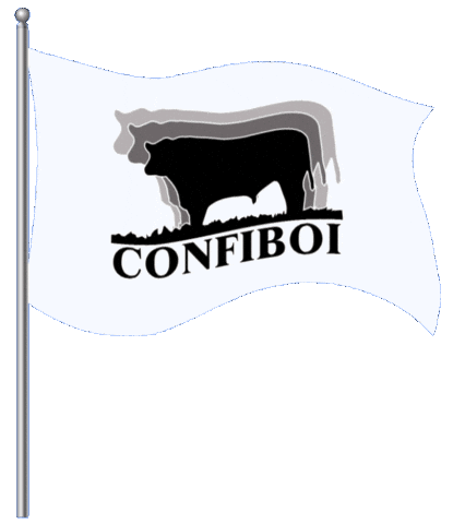 Nelore Chaparral Sticker by Confiboi