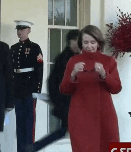 The whole Pelosi thing. Giphy