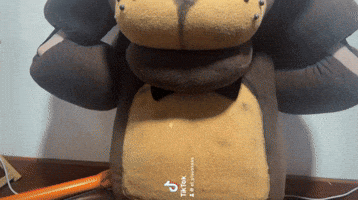 Meme GIF