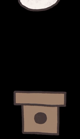 正月 Gifs Get The Best Gif On Giphy