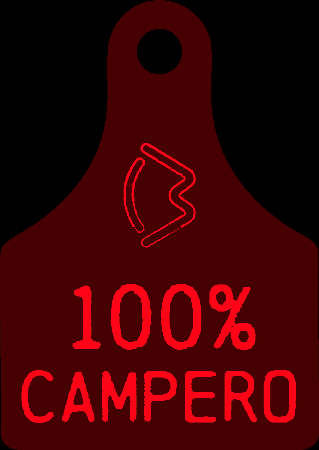 Campo Toro GIF by Bonsmara Argentina