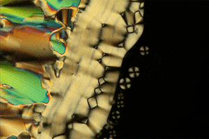 Autism Speaks Dna GIF by MSSNG