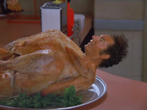 Head Turkey GIF - Find & Share on GIPHY