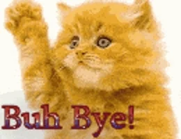 cat goodbye GIF