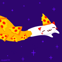 cats eating pizza gif