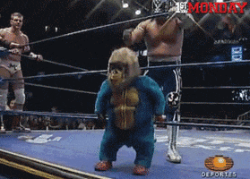 fuckyou getouttahere GIF by FirstAndMonday
