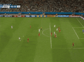 worldcup2014 worldcup usa GIF by Pablo Rochat