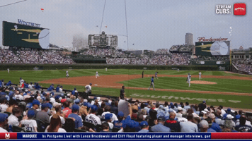 Strike Out Chicago Cubs GIF