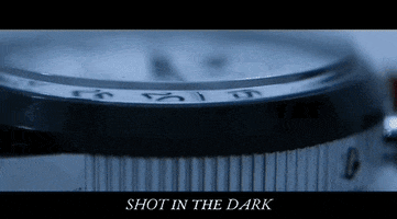 Shot In The Dark Movie GIF by Raven Banner Entertainment