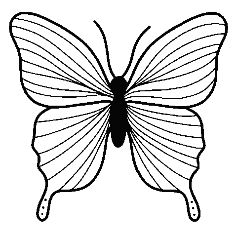 Fly Butterfly Sticker