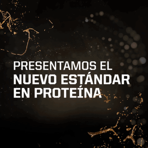Sport Deporte GIF