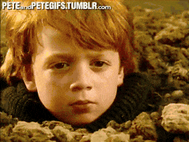 the adventures of pete and pete television GIF