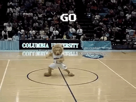dance lion GIF by Columbia University Athletics