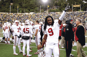 Richard Sherman Football GIF
