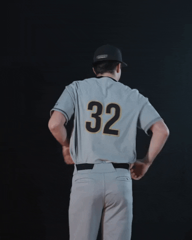 Turn Around Baseball GIF by Purdue Fort Wayne Athletics