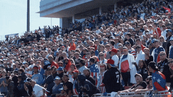 Fail World Rugby GIF by Rugby World Cup