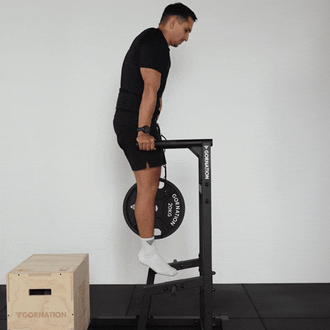 Calisthenics Exercises GIF