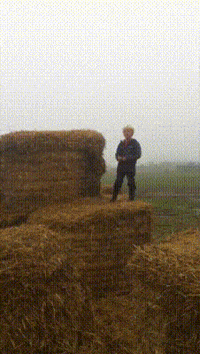 hay bales GIF hay bales GIF