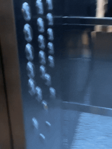 Santos Voto GIF